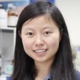 Songjie Chen