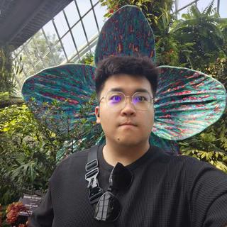 Xicheng Yang