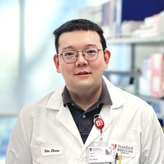Xin ZHOU