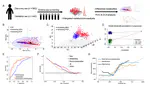 A serum metabolomics analysis reveals a panel of screening metabolic biomarkers for esophageal squamous cell carcinoma