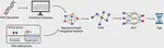 Bridging Sequence and Graph Structure for Epigenetic Age Prediction