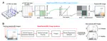 Deep learning-based pseudo-mass spectrometry imaging analysis for precision medicine