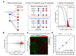 Development of a correlative strategy to discover colorectal tumor tissue derived metabolite biomarkers in plasma using untargeted metabolomics