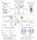 Large-Scale Prediction of Collision Cross-Section Values for Metabolites in Ion Mobility-Mass Spectrometry