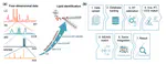 LipidIMMS Analyzer integrating multi-dimensional information to support lipid identification in ion mobility—mass spectrometry based lipidomics