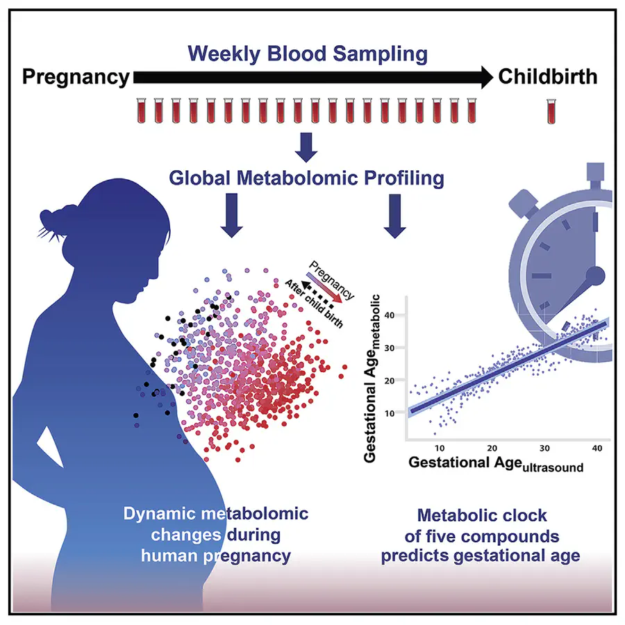 Metabolic dynamics and prediction of gestational age and time to delivery in pregnant women