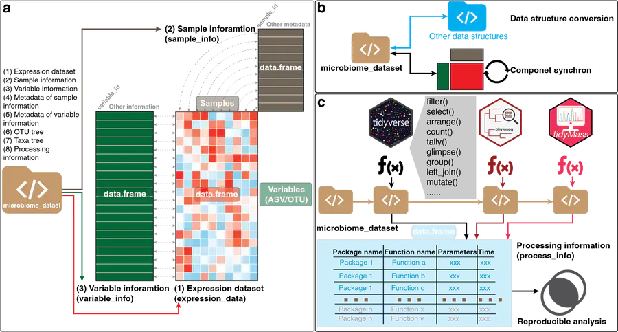 microbiomedataset A tidyverse-style framework for organizing and processing microbiome data