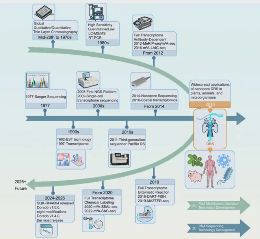 Research figure: Nanopore direct RNA sequencing and the epitranscriptome: Advances in mapping native RNA landscapes