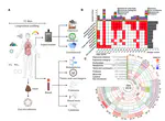 Precision environmental health monitoring by longitudinal exposome and multi-omics profiling
