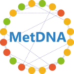 MetDNA